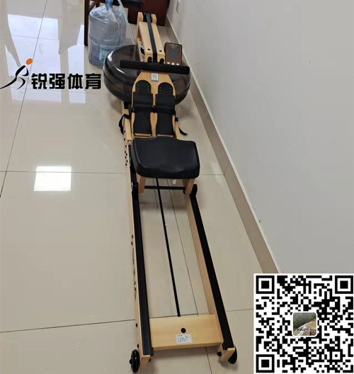 淄博某小区业主在IM电竞选购的划船机