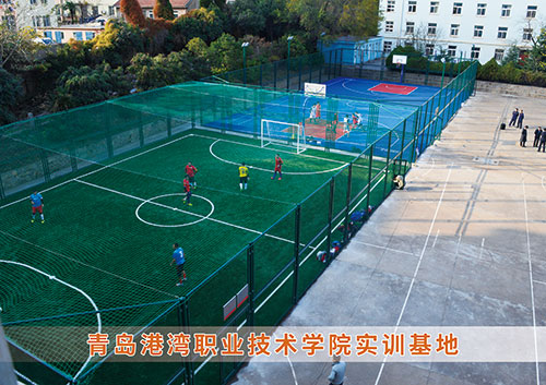 ​IM电竞为青岛港湾职业技术学院打造健身实训基地